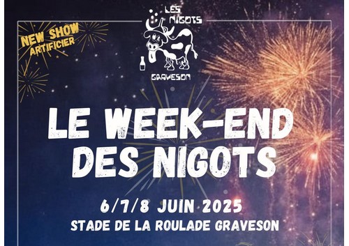 NIGOTS 2025 Copie Copie Copie